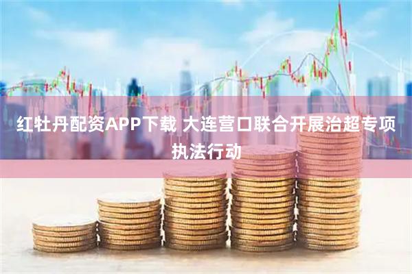 红牡丹配资APP下载 大连营口联合开展治超专项执法行动